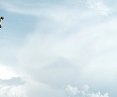 Groeien met de juiste IT-partner: 5 tips